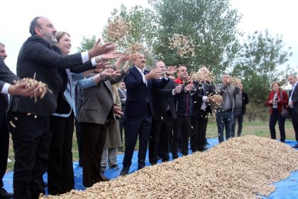 mericte-fistik-senligi