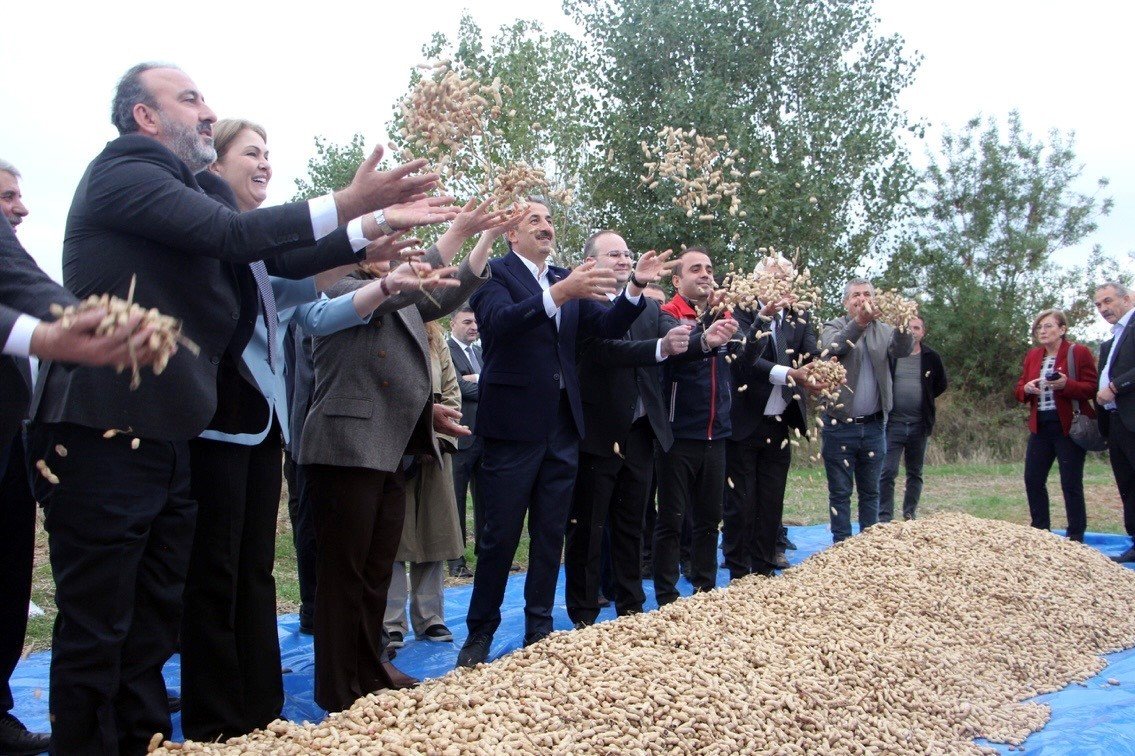 mericte-fistik-senligi