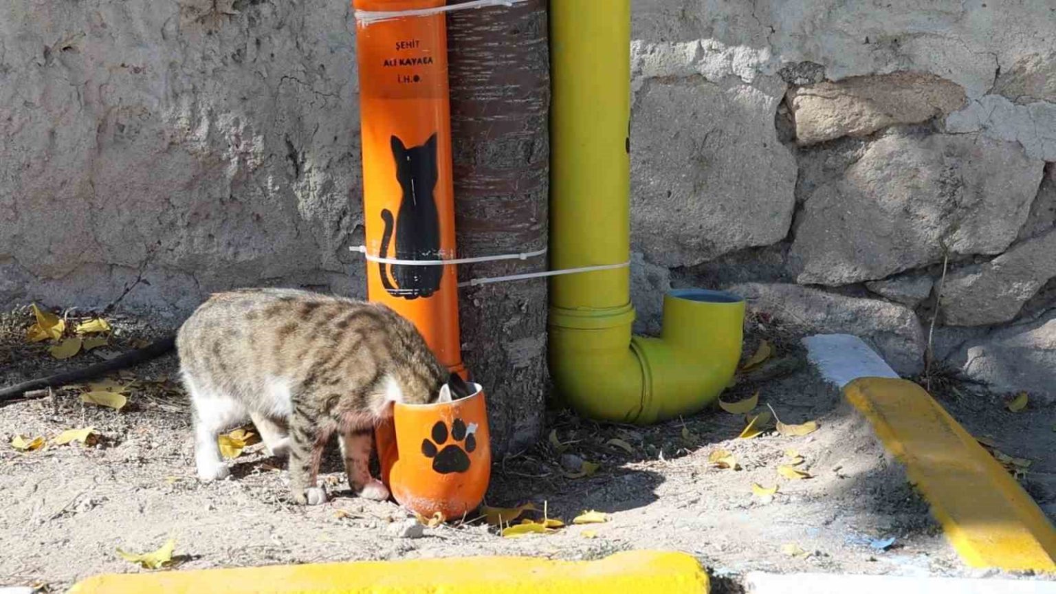 ogrenciler-hem-cevre-bilincini-hem-hayvan-sevgisini-bir-araya-getirdi