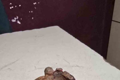 tarlada-el-bombasi-bulundu