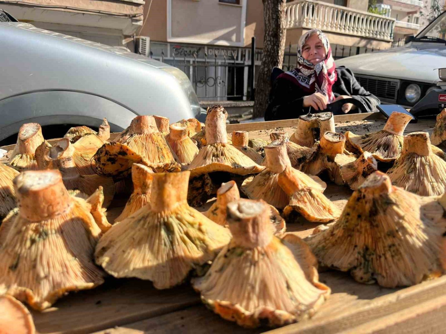 tavsanli-pazarinda-mantar-mesaisi