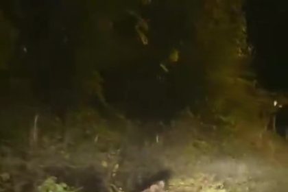 zonguldakta-bozayi-amator-kameraya-yansidi