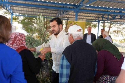 alanyadaki-yangin-bolgesinde-3-bin-400-zeytin-fidani-bahce-sahiplerine-dagitildi