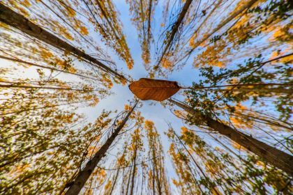 altin-ve-kizilin-dansi-erzincanin-daglari-sonbahar-guzelligiyle-buyuluyor