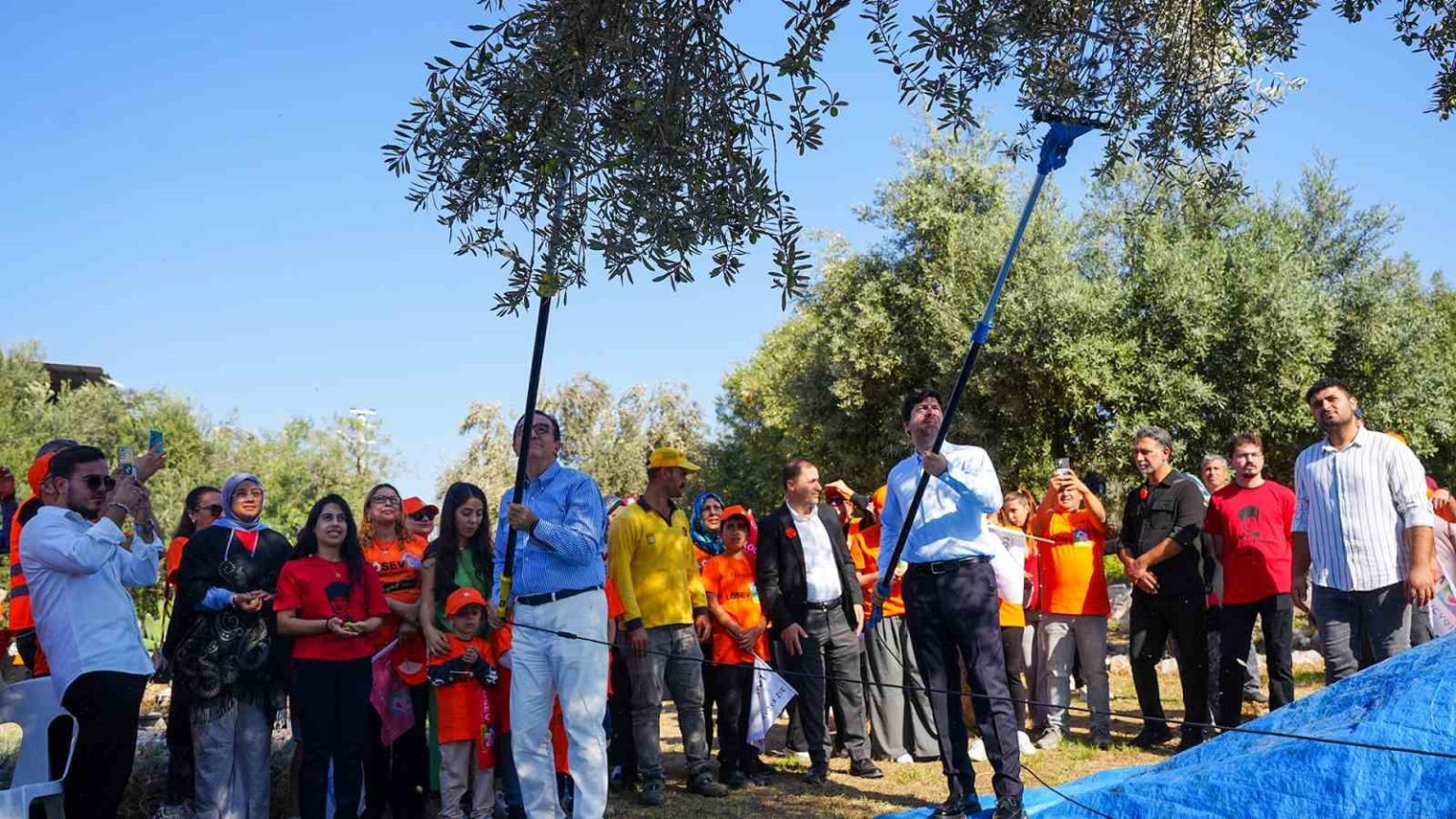 baskan-boltac-bu-topraklarda-yetisen-her-zeytin-tanesi-aslinda-bir-iyiligin-tohumu