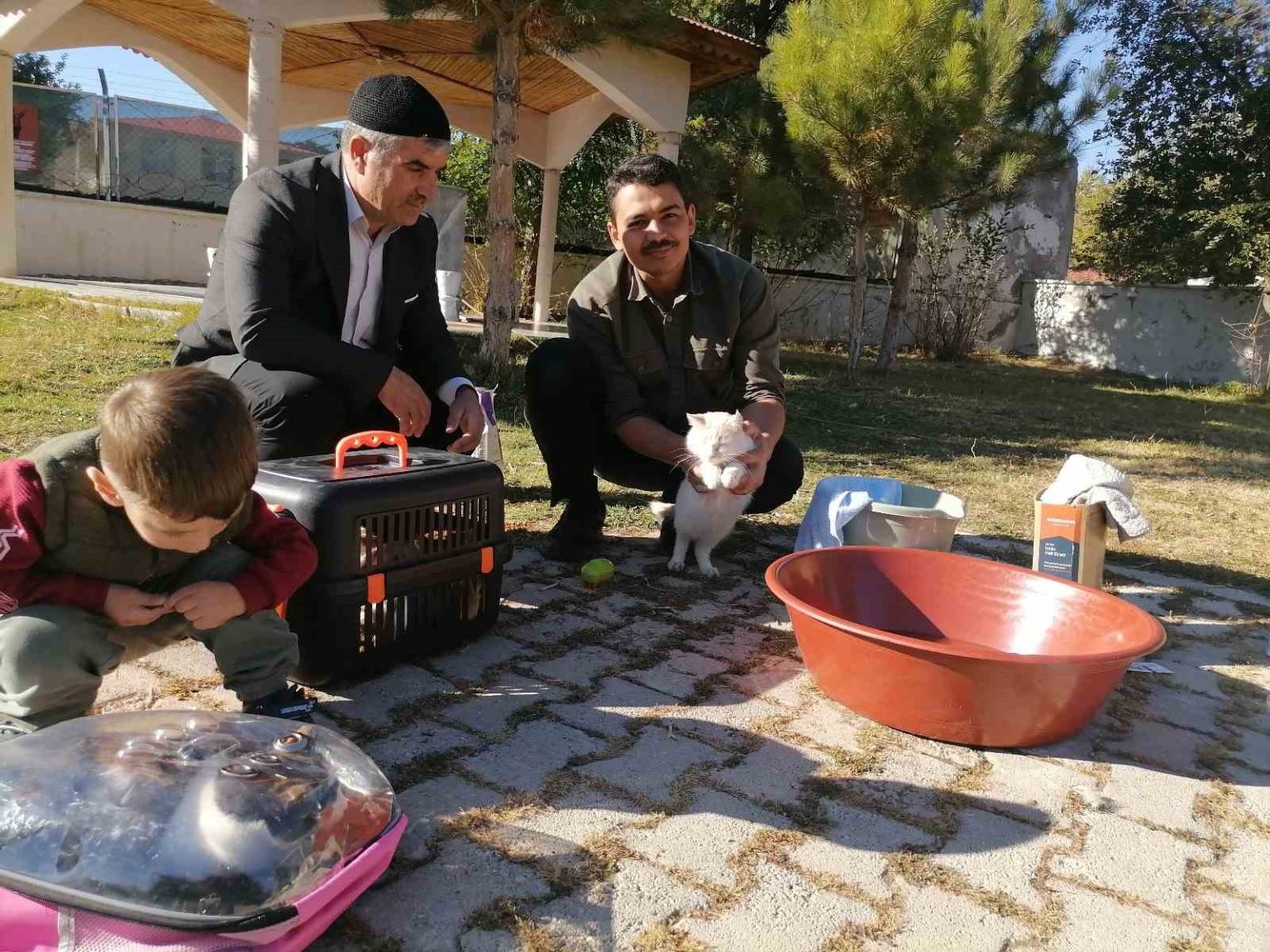 cami-imami-onlarca-kediye-bakiyor