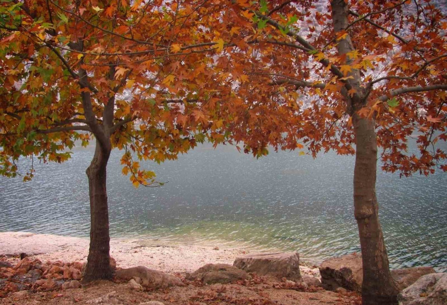 firatin-sessiz-akisina-sonbahar-renk-katti