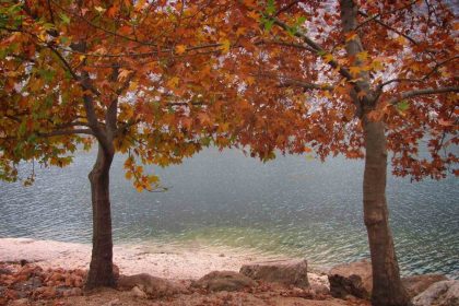 firatin-sessiz-akisina-sonbahar-renk-katti