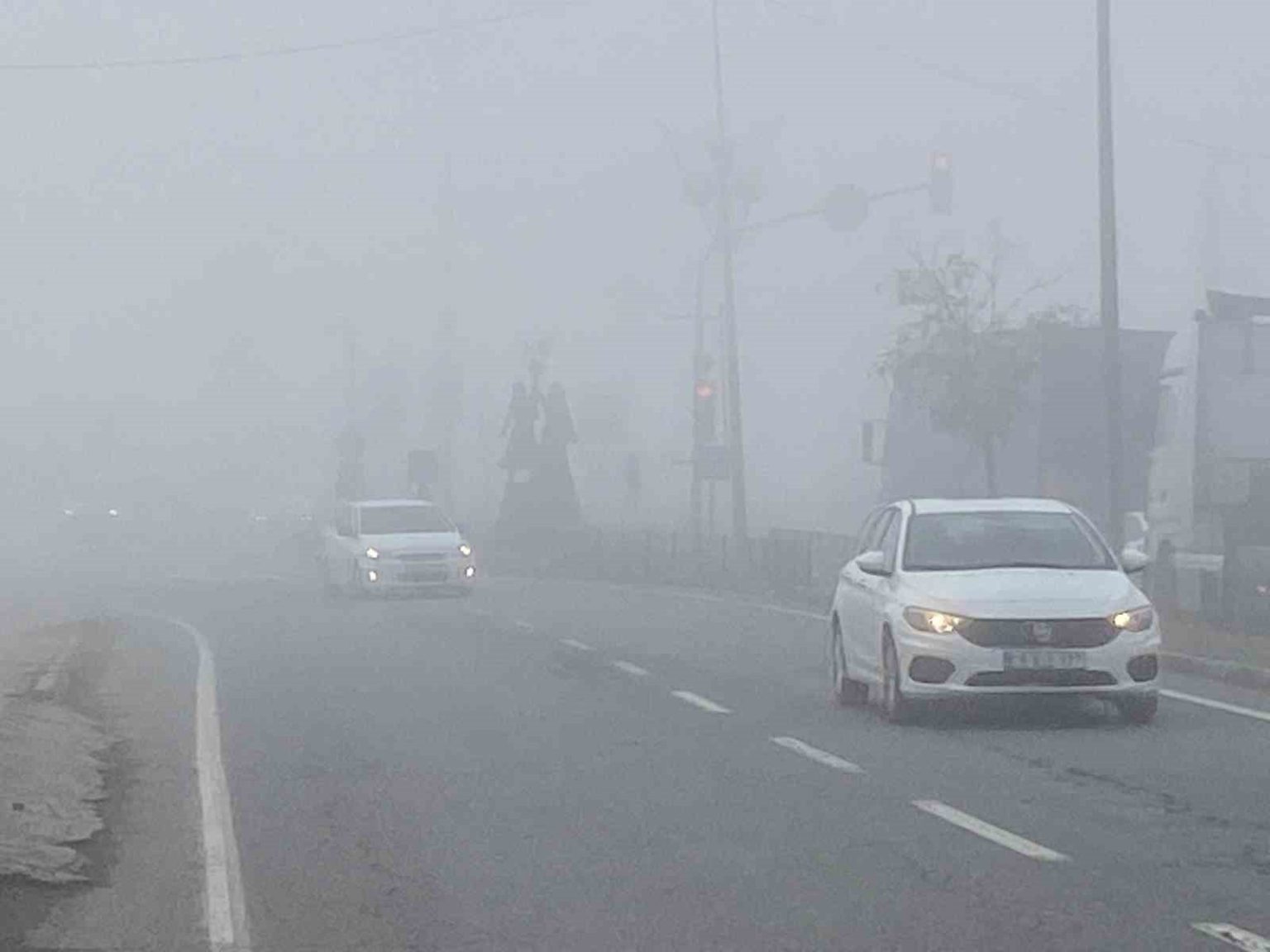 igdirda-yogun-sis-etkili-oldu