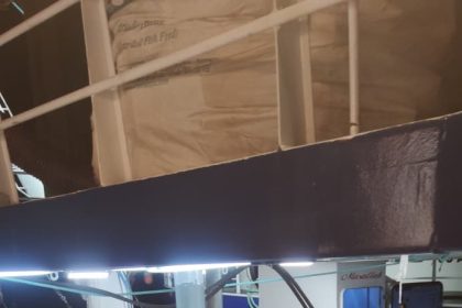 karadenizde-hamsi-bollugu