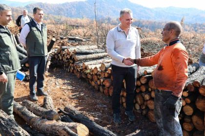 koycegizde-yanan-sahalar-fidan-dikimi-icin-hazirlaniyor