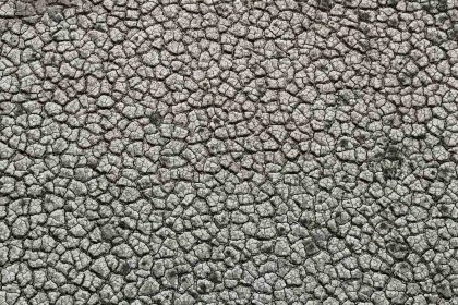 kurakligin-izi-seyhan-baraj-golunde-sular-cekilince-toprak-catladi