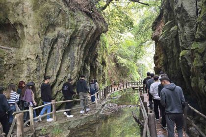 muglada-gencler-ekolojik-etkinlikte-bulustu