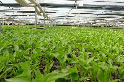 prof-dr-resul-gercekcioglu-yabanci-turler-genetik-mirasimizi-yok-etti