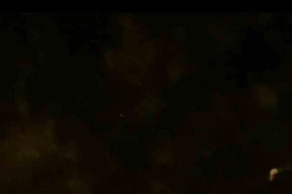 tavuk-hirsizi-tilkiyi-yerde-beklerken-catida-cikti