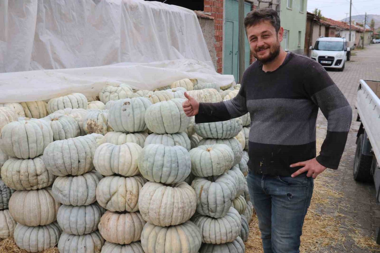 ata-tohumu-ile-uretilen-eskisehirin-meshur-kabaginin-hasadi-basladi