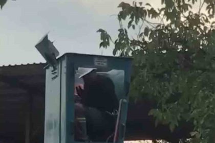 bursada-vinc-ustunde-ari-alarmi