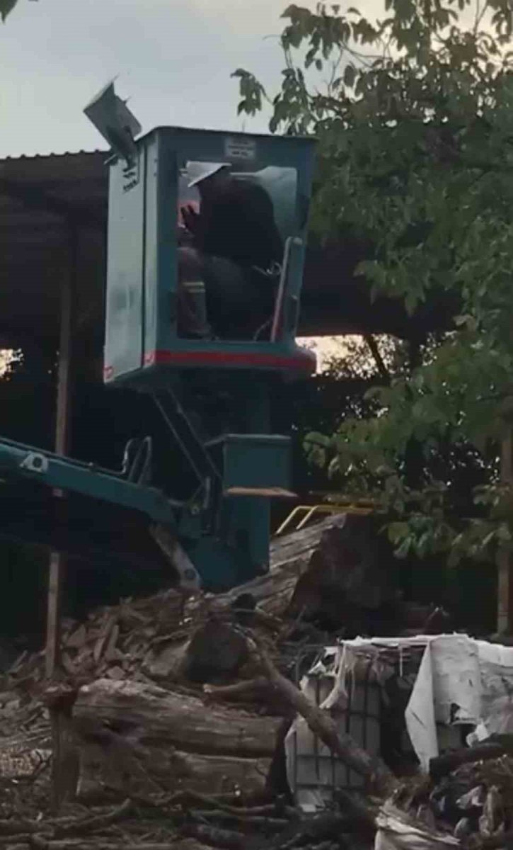 bursada-vinc-ustunde-ari-alarmi