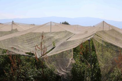 ciftcilerin-dogal-sigortasi-file-sistemi-oldu