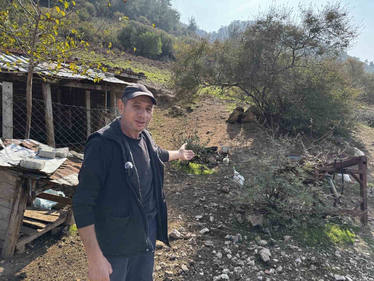 cimere-yapilan-inek-ve-tavuklar-serbest-dolasiyor-salgin-hastalik-riski-var-sikayeti-bolge-sakinlerini-saskina-ugratti