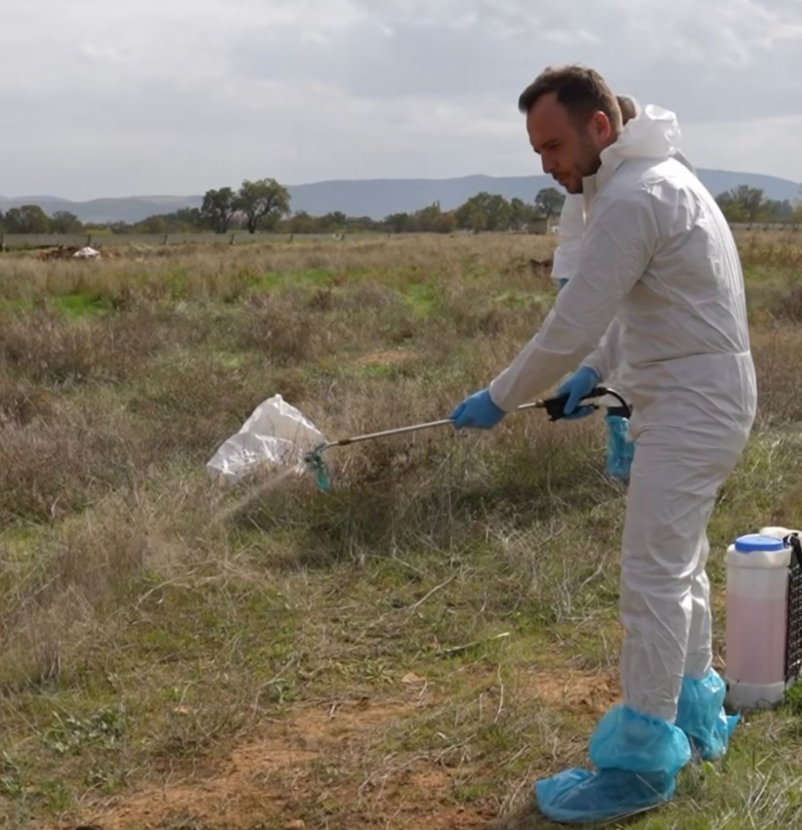 civril-belediyesi-ilcede-yasanilan-sap-hastaligi-icin-calismalarini-surduruyor