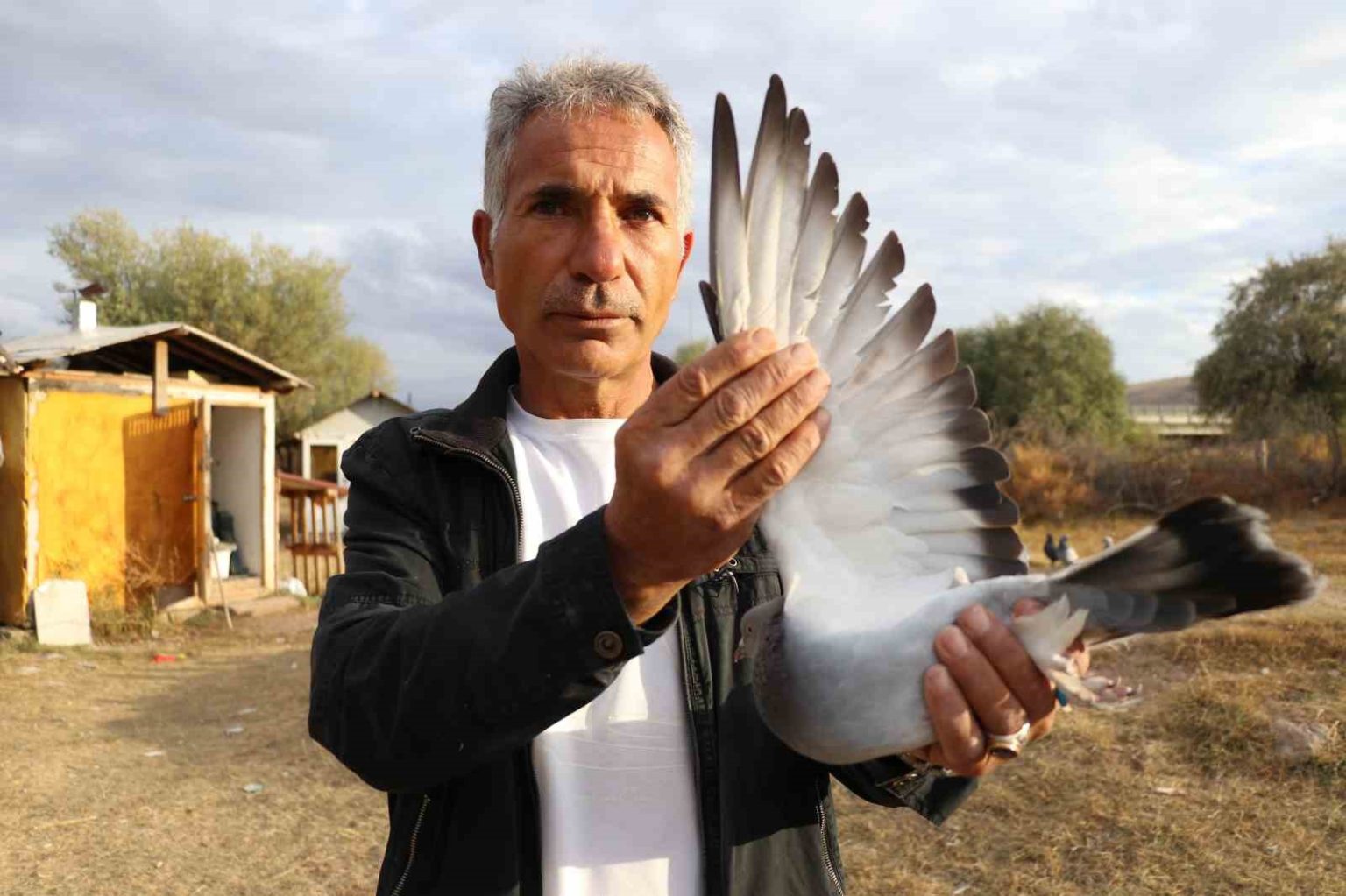 degeri-yarim-milyondan-fazla-yurt-disindan-bile-talep-goruyor