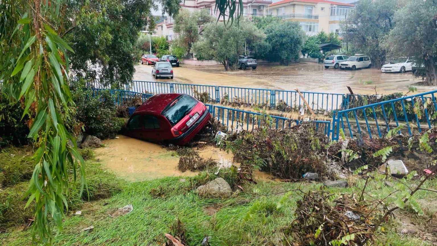 focada-sele-kapilan-kisinin-kimligi-belirlendi