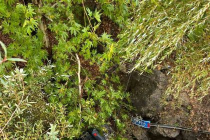 kopruden-ucan-otomobil-agac-dallarinda-asili-kaldi-2-yarali