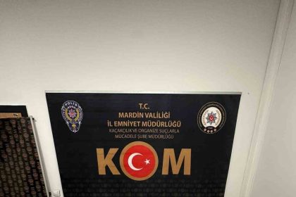 mardinde-silah-kacakciligi-operasyonu-1-tutuklama