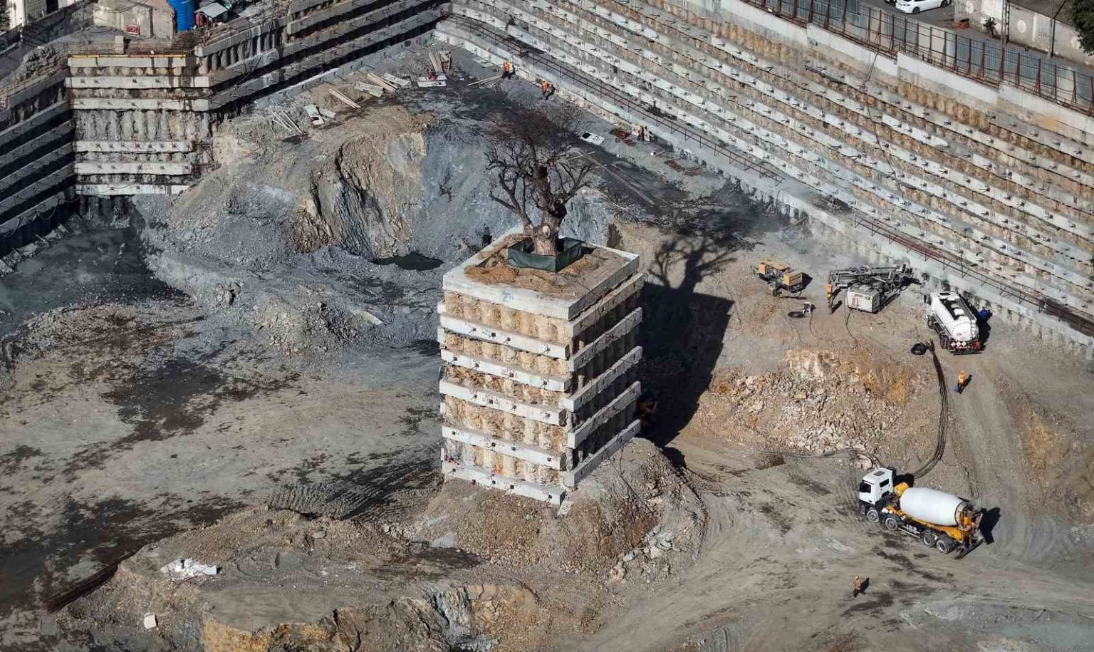 milyarlik-projede-tarihi-agaca-fore-kazikli-koruma