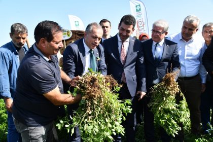 osmaniye-fistik-festivaline-hazirlaniyor