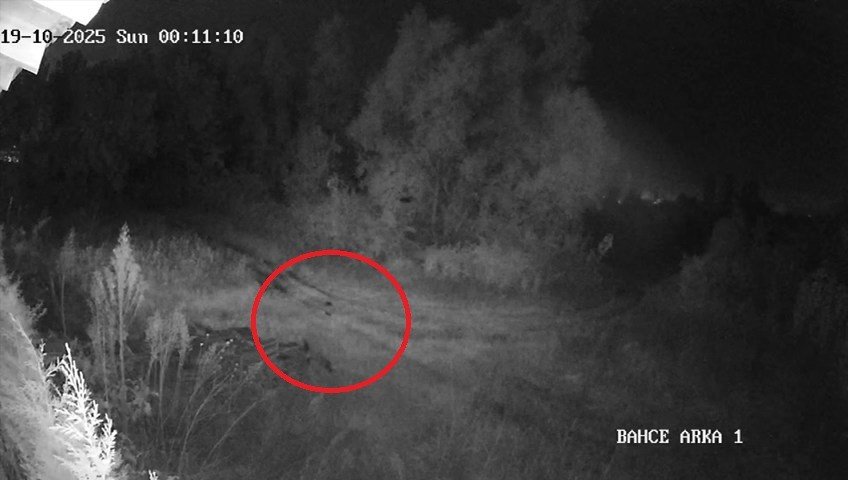 samsunda-2-haftadir-kayip-olan-genc-ilcede-panige-yol-acti-vatandaslar-tedirgin