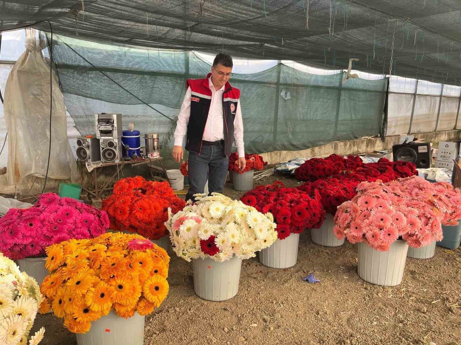 serada-sebzeden-gerberaya-uretim-cesitliligi-dikkat-cekiyor