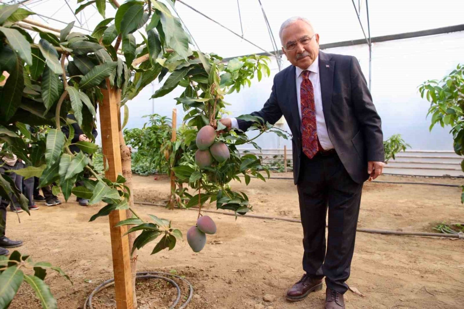 tropik-bitkilerden-sebzeye-ogrenciler-seralarda-deneyim-kazaniyor