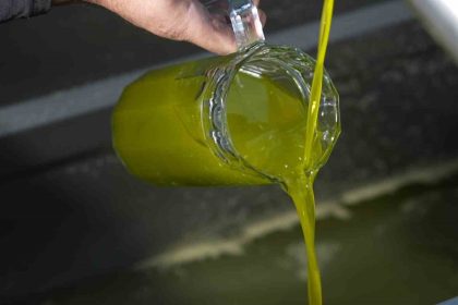 turkiyede-satilan-zeytinyaginin-yuzde-65i-ayvalik-zeytinyagi-adiyla-piyasada