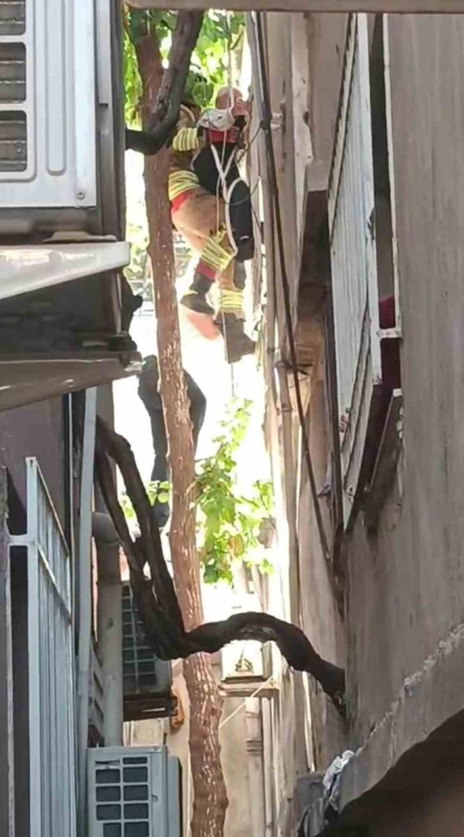 agacta-asili-kalan-sahsi-itfaiye-kurtardi