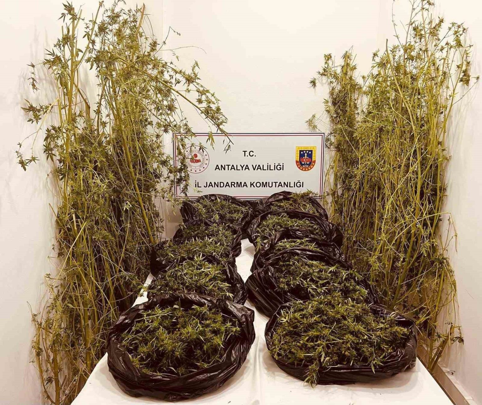 antalyada-53-kilo-uyusturucu-ele-gecirildi