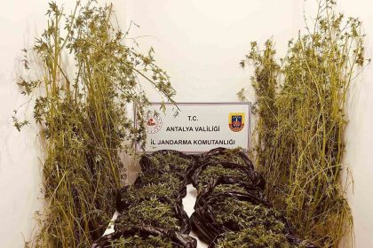 antalyada-53-kilo-uyusturucu-ele-gecirildi