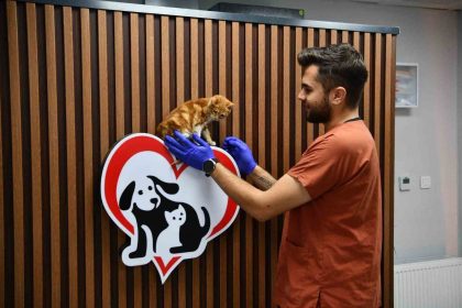 balikesirde-can-dostlar-buyuksehir-eliyle-guvende