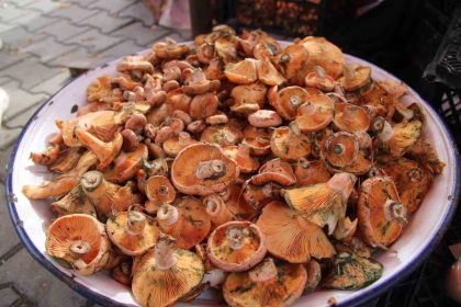 cintar-pazar-tezgahlarinda-yerini-aldi