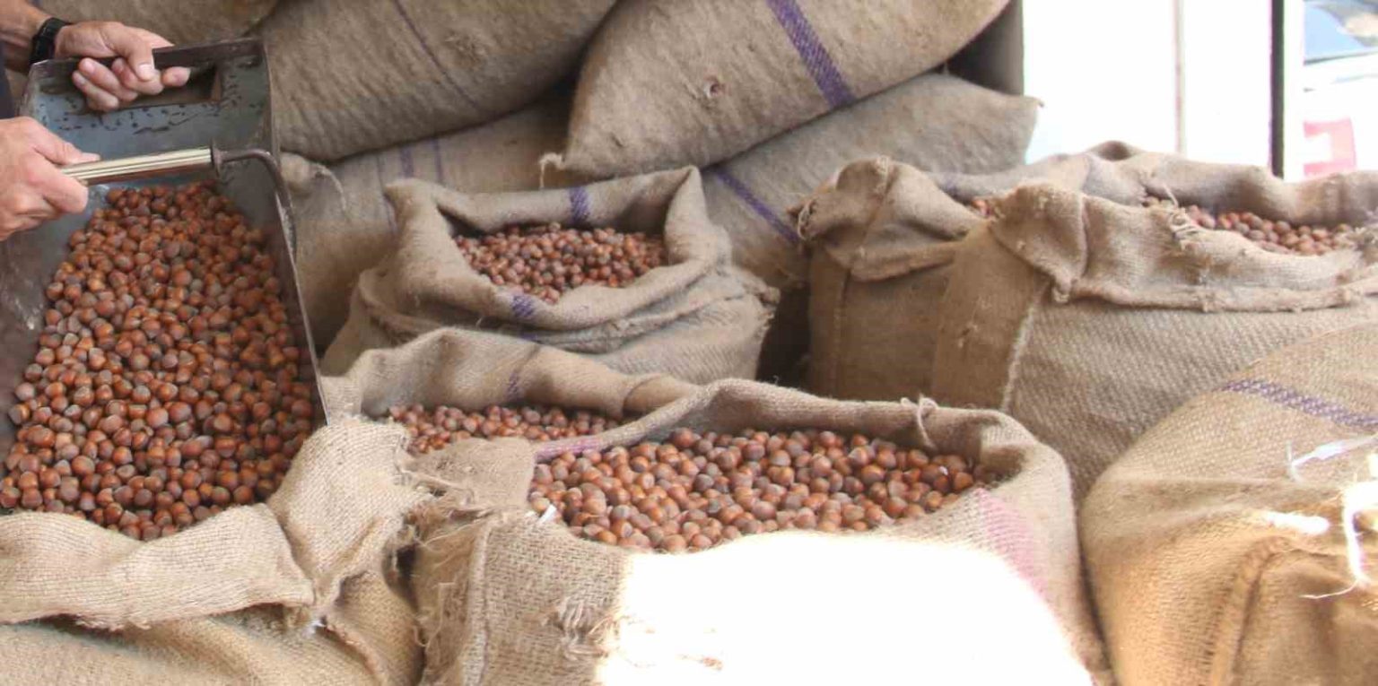 findikta-ureticinin-400-lira-hedefi-baska-bahara-kaldi