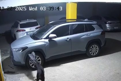 gercek-guvenlik-kamerasi-goruntulerini-izleyince-ortaya-cikti