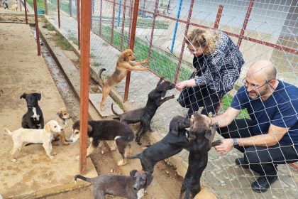 germencik-sokak-hayvanlari-rehabilitasyon-merkezi-acilis-icin-gun-sayiyor