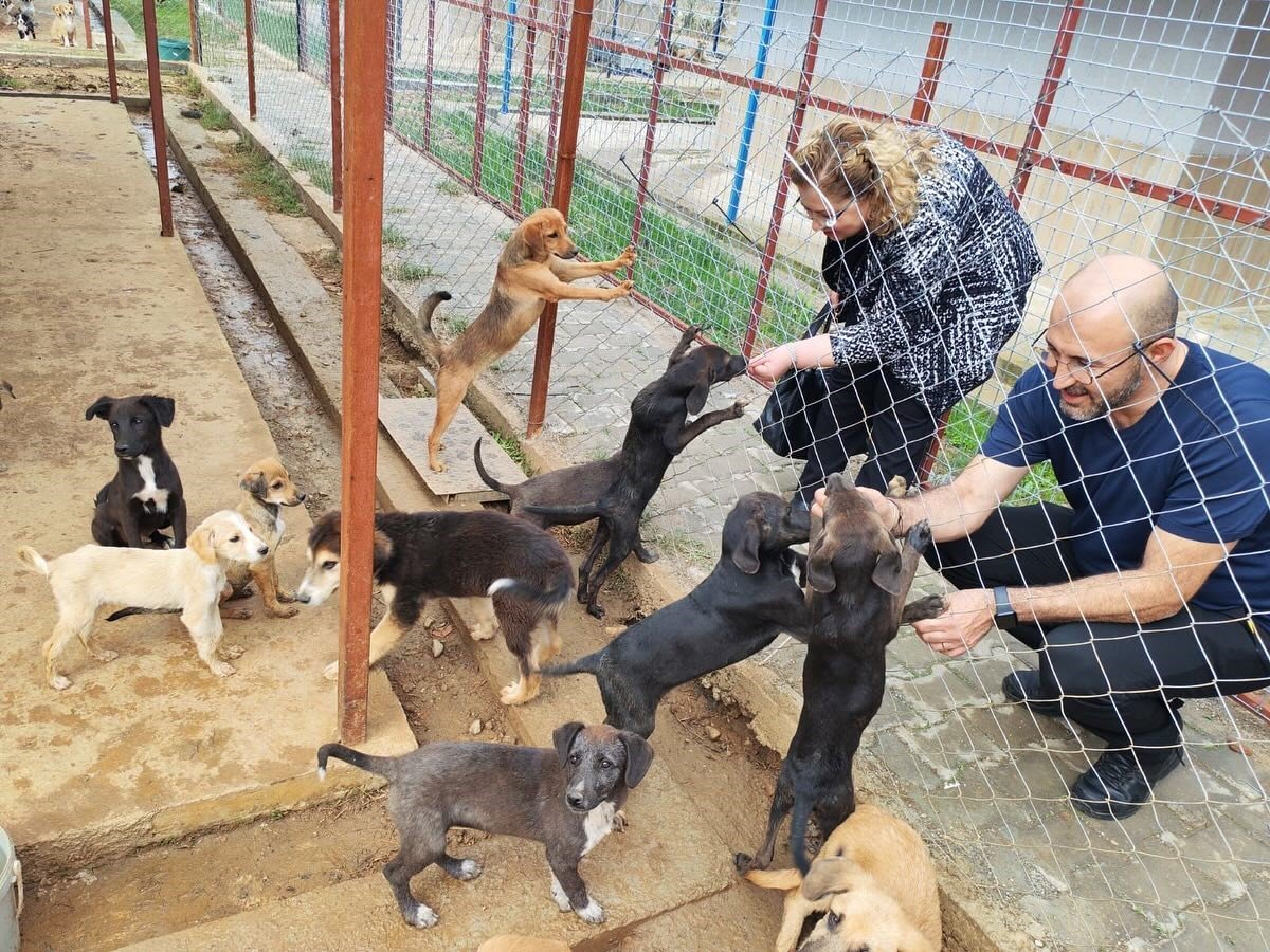 germencik-sokak-hayvanlari-rehabilitasyon-merkezi-acilis-icin-gun-sayiyor