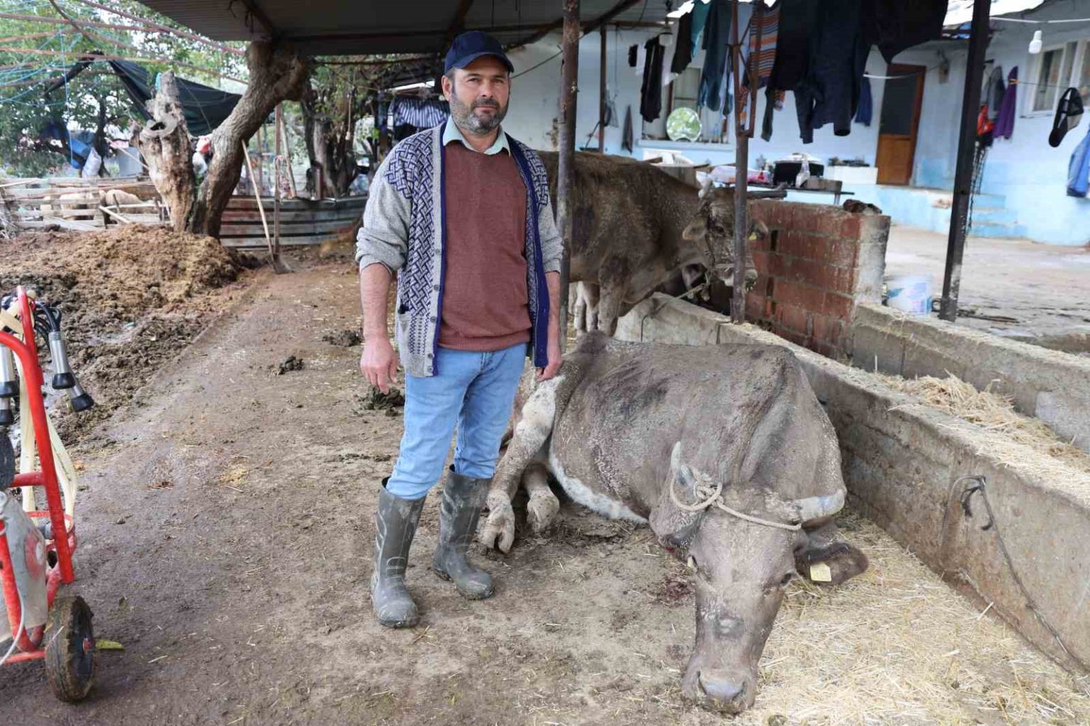 hayvanlari-sele-kapilan-aktas-adam-boyu-sel-geldi