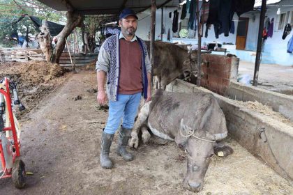 hayvanlari-sele-kapilan-aktas-adam-boyu-sel-geldi