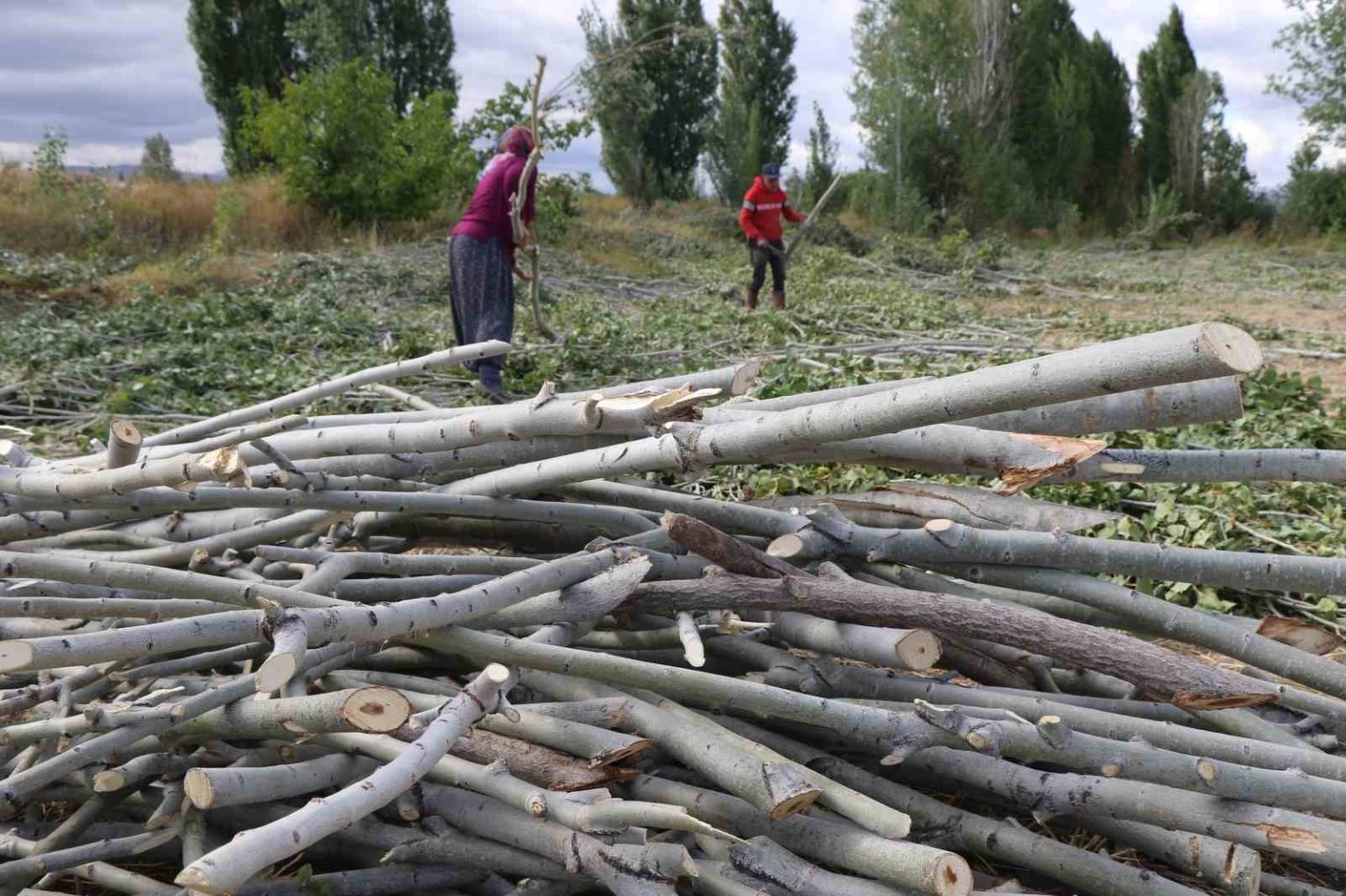 koylerde-kislik-odun-hazirligi