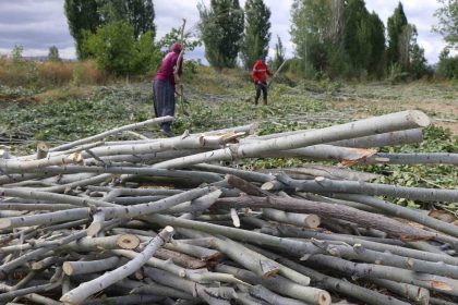 koylerde-kislik-odun-hazirligi