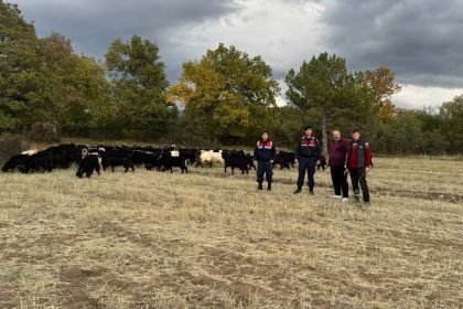 kutahyada-kayip-70-keci-jandarma-tarafindan-bulundu