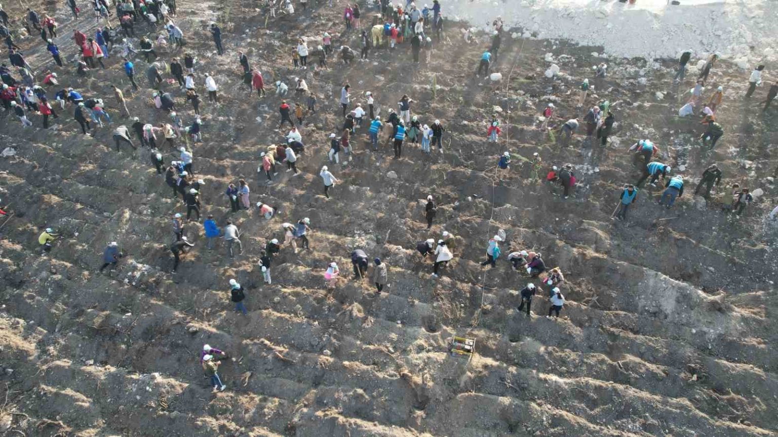 manisada-binlerce-fidan-toprakla-bulusacak